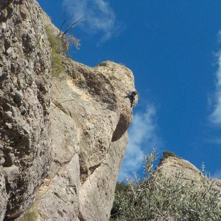 Foto de perfil de marc
