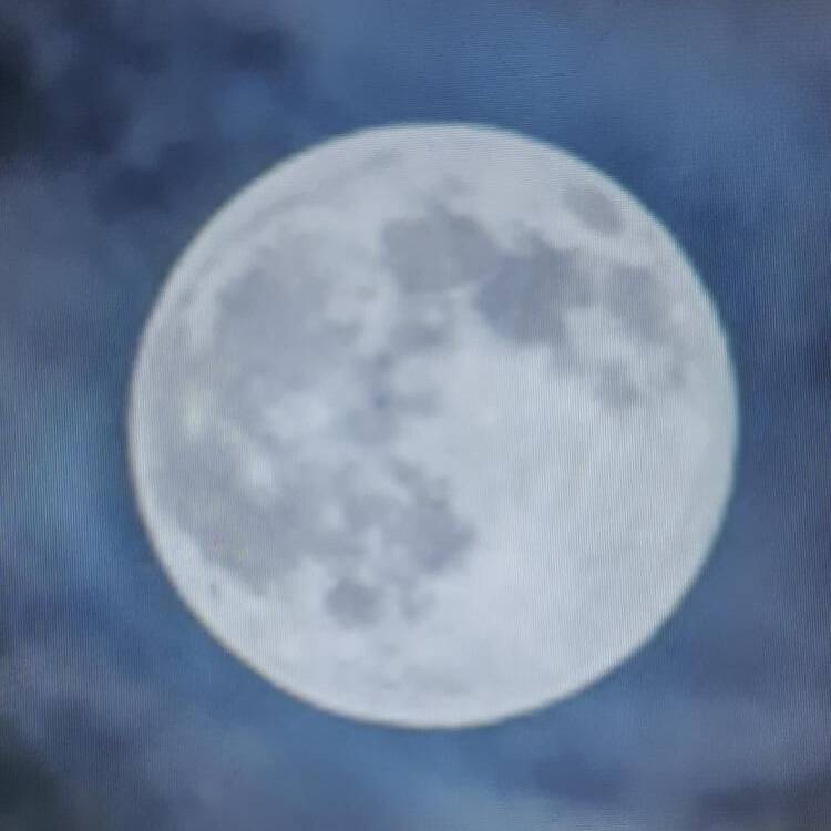 Foto de perfil de Vicenç