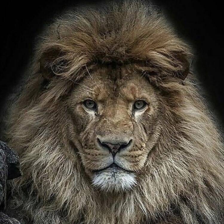 Foto de perfil de Jose Antonio
