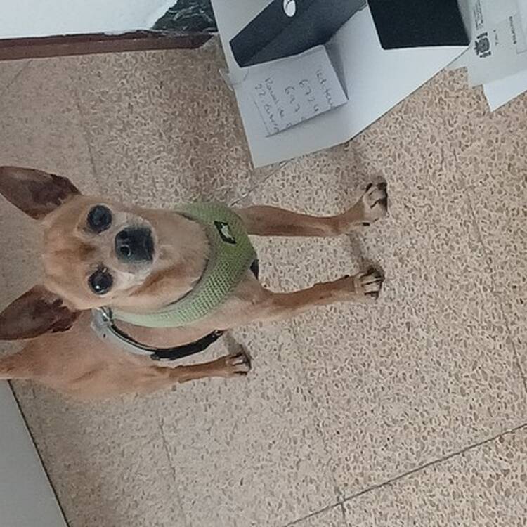 Foto de perfil de Carina
