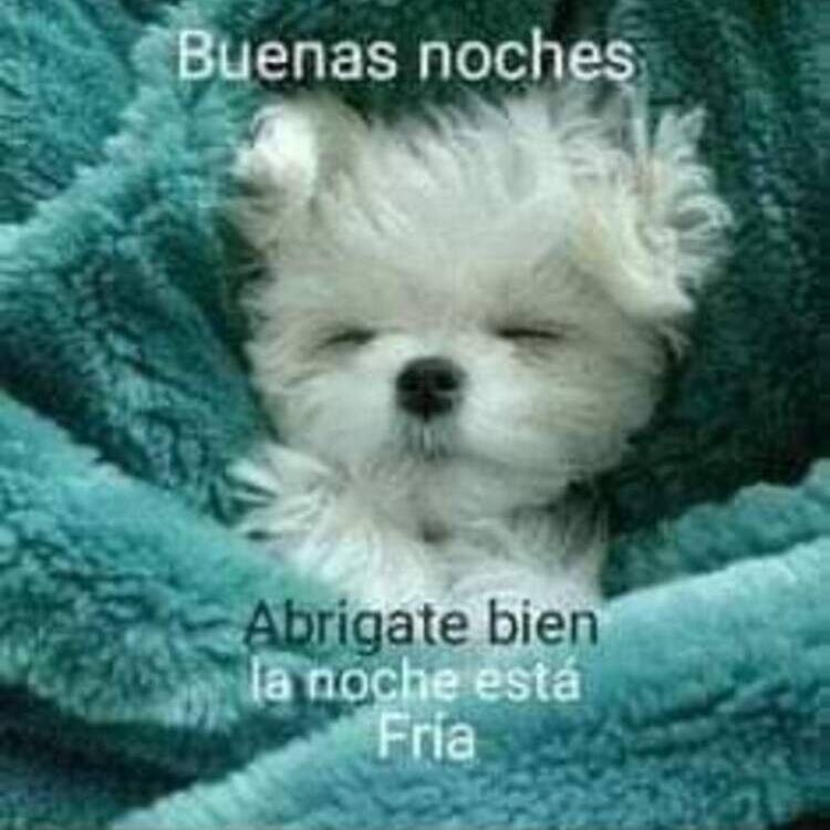 Foto de perfil de Carmen