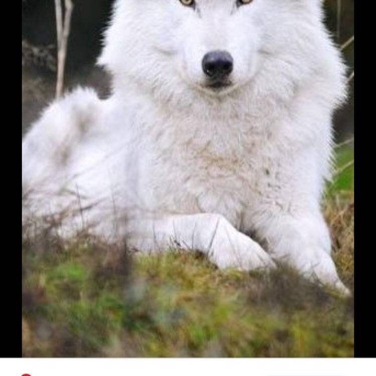 Foto de perfil de Isaac