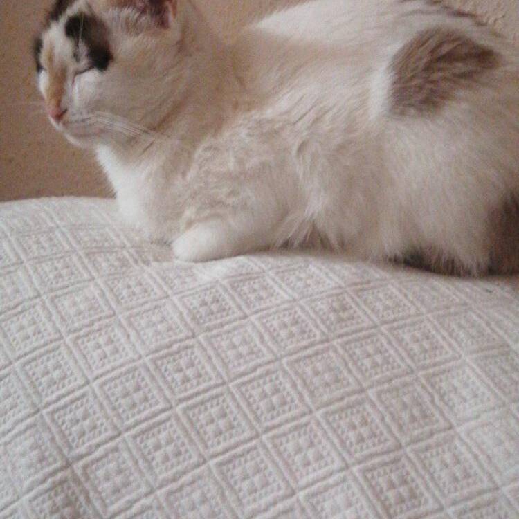 Foto de perfil de Dimas