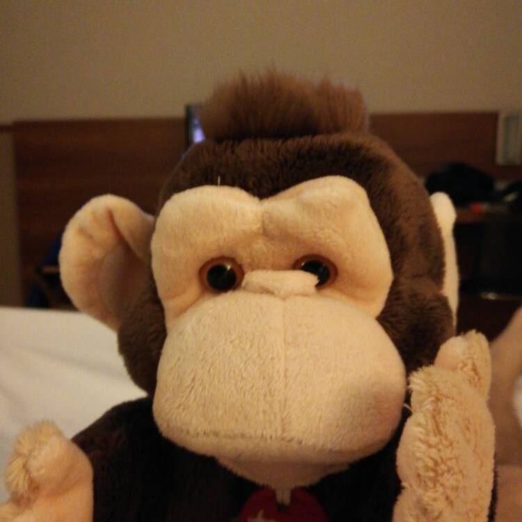 Foto de perfil de Antoni