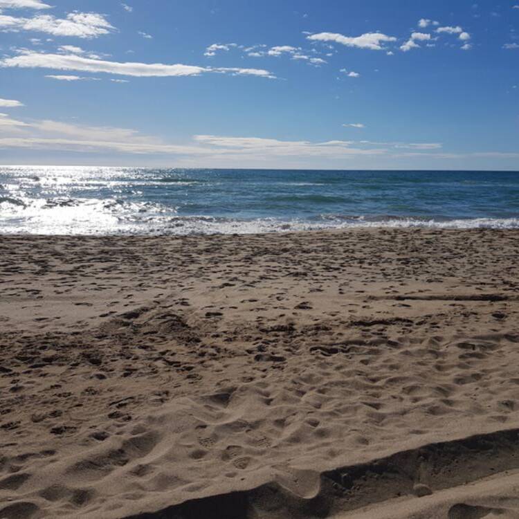 Foto de perfil de Mireia