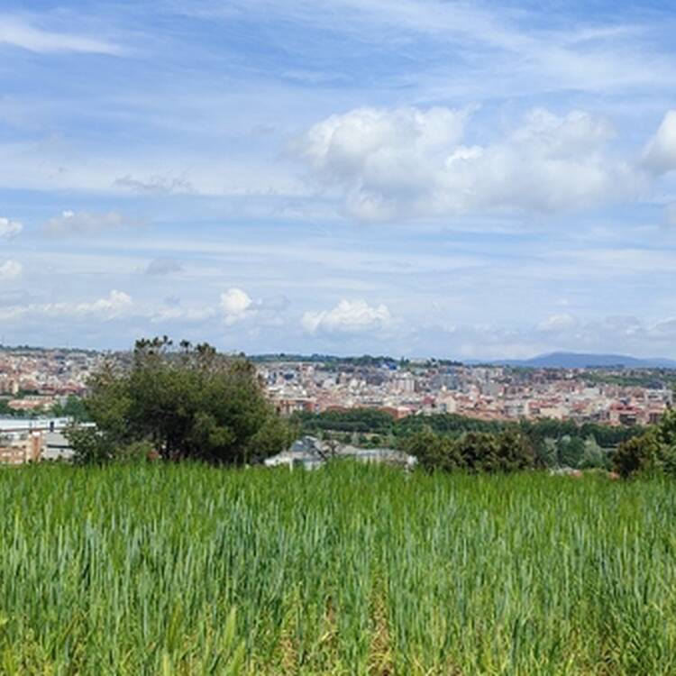 Foto de perfil de Jesús