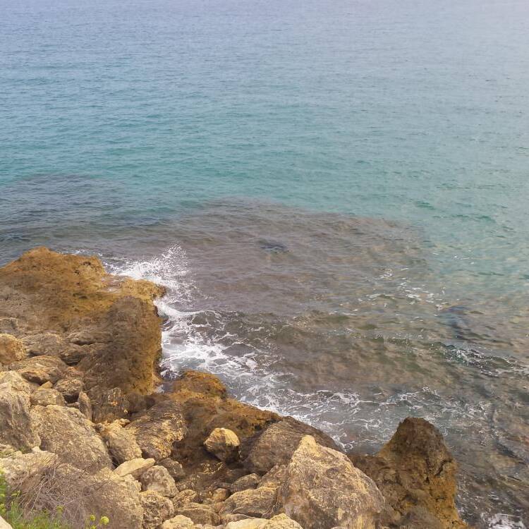 Foto de perfil de e61