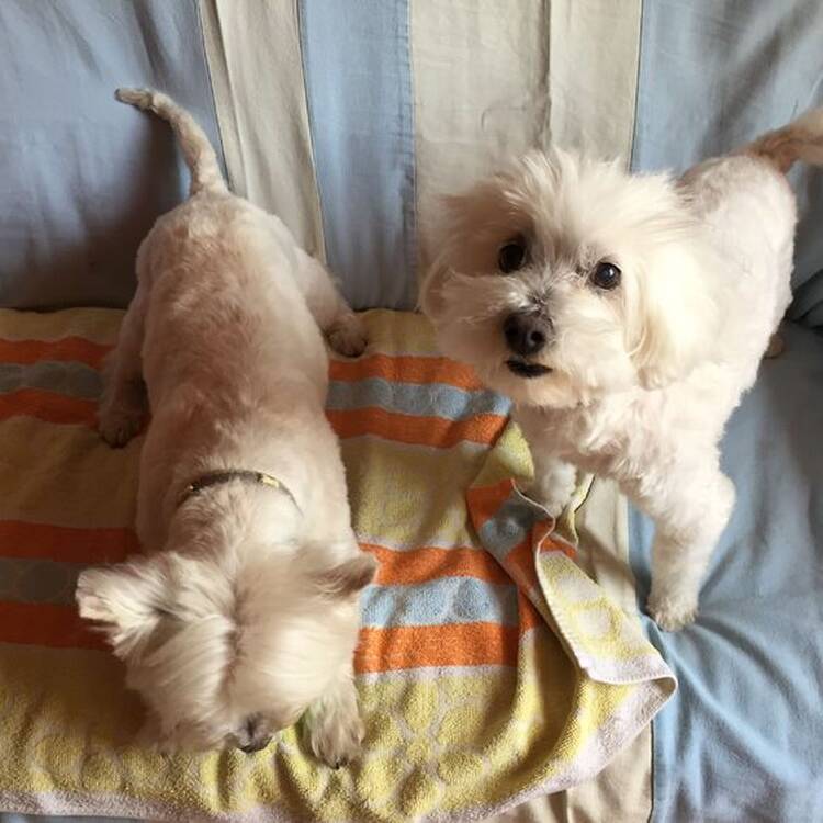 Foto de perfil de Therese