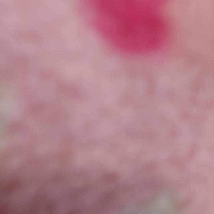 Foto de perfil de Miriam