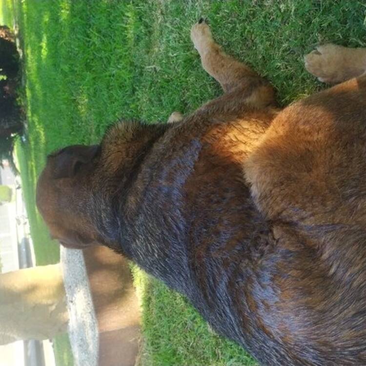 Foto de perfil de Sandi