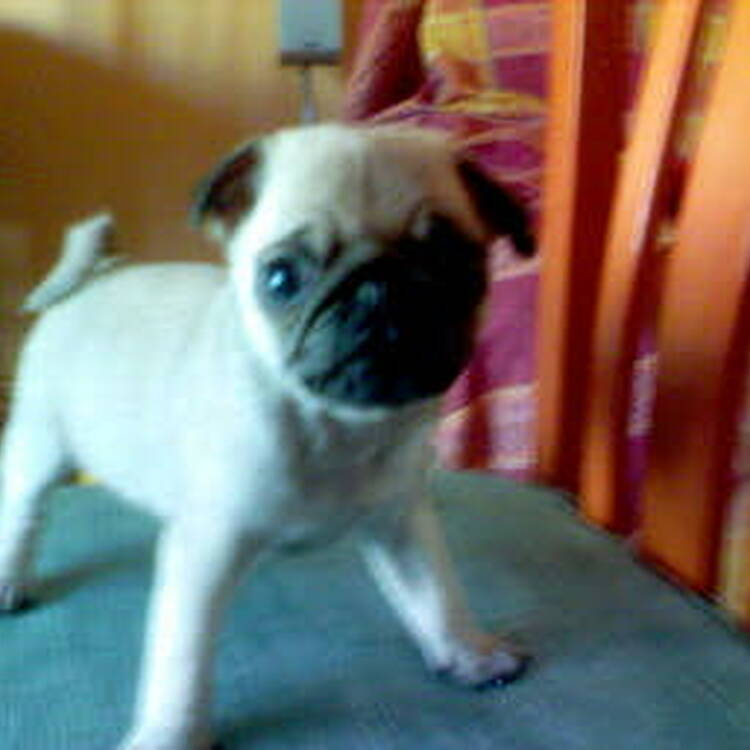 Foto de perfil de Miriam
