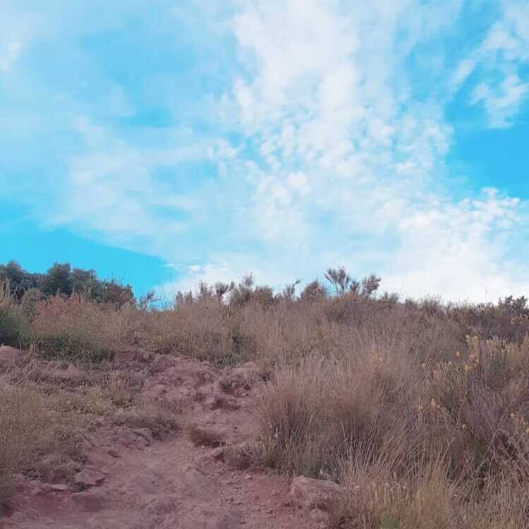 Foto de perfil de Marta