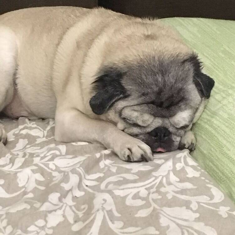 Foto de perfil de Jordi