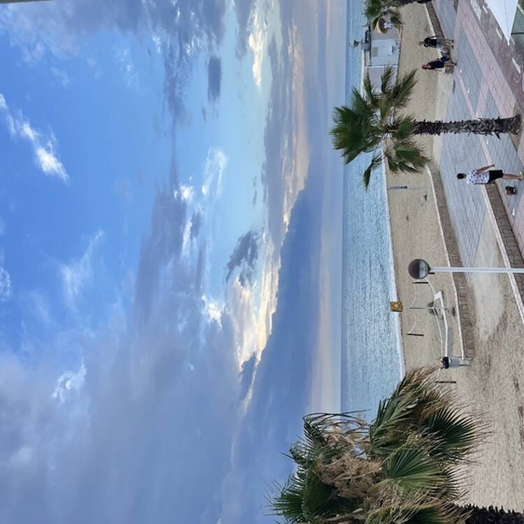 Foto de perfil de Pilar