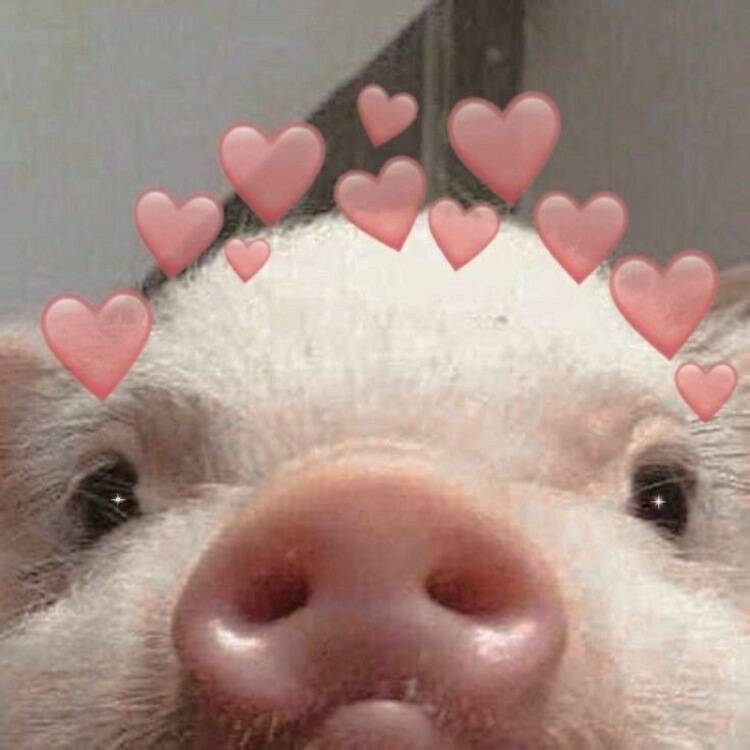 Foto de perfil de Mariona