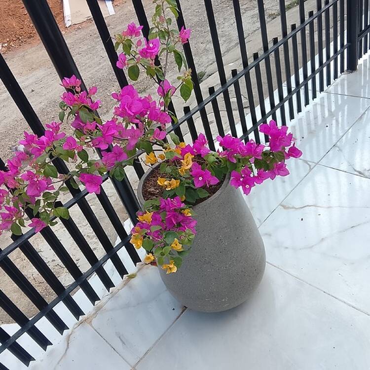 Foto de perfil de Clara