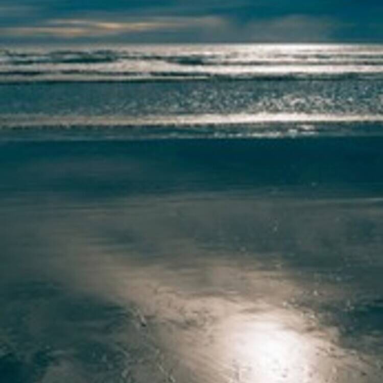 Foto de perfil de Yolanda