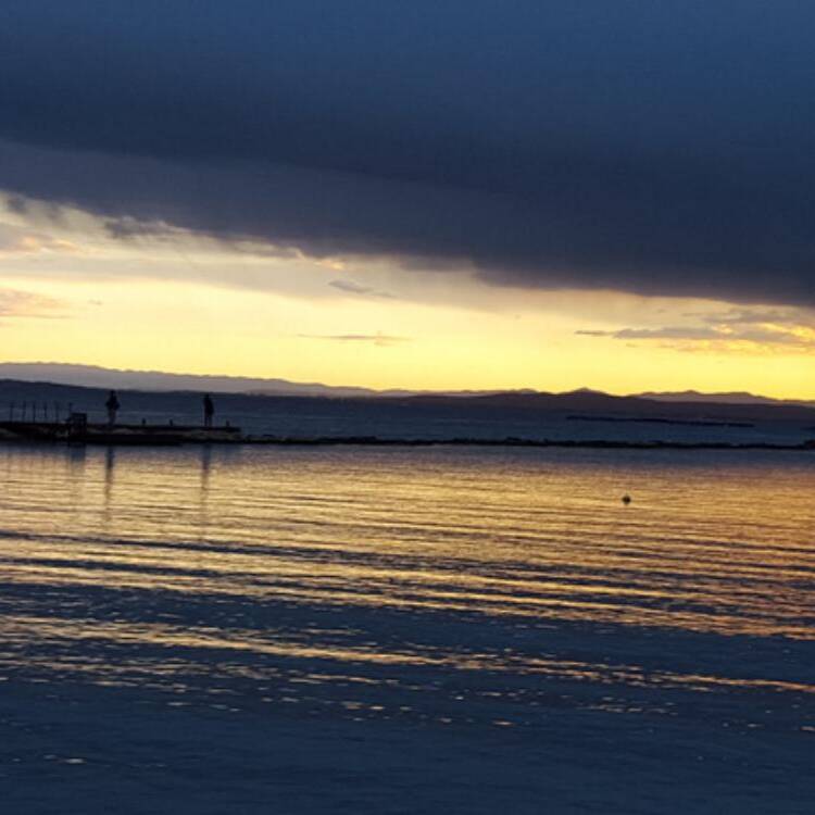 Foto de perfil de Yolanda