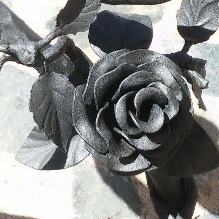 Foto de perfil de Noelia