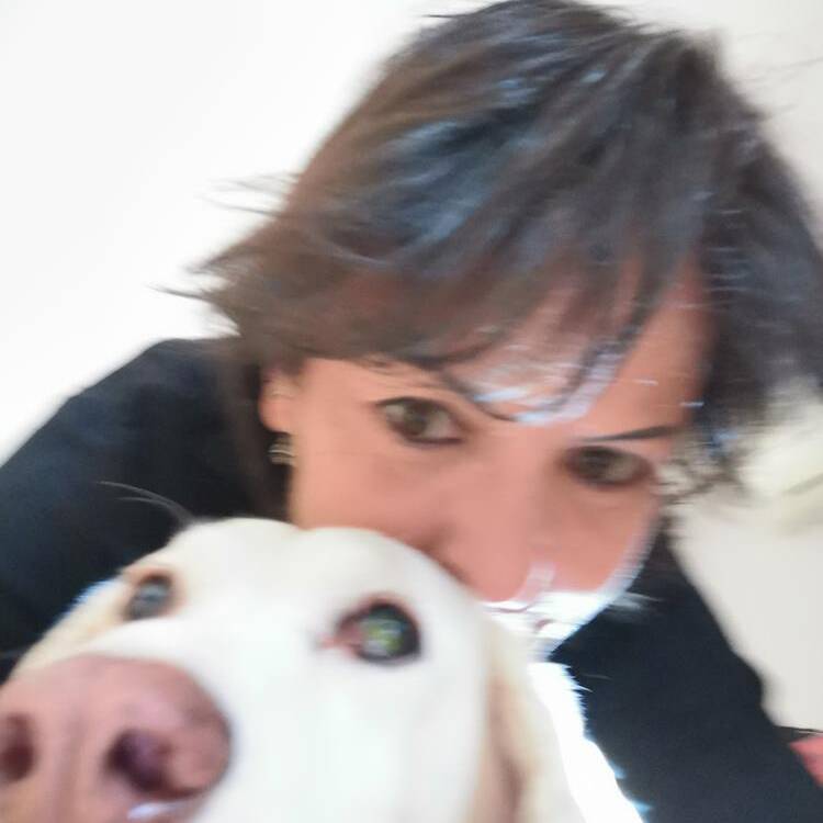 Foto de perfil de ALICE