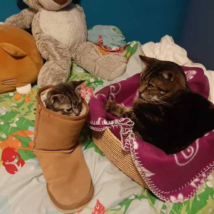 Foto de perfil de beau