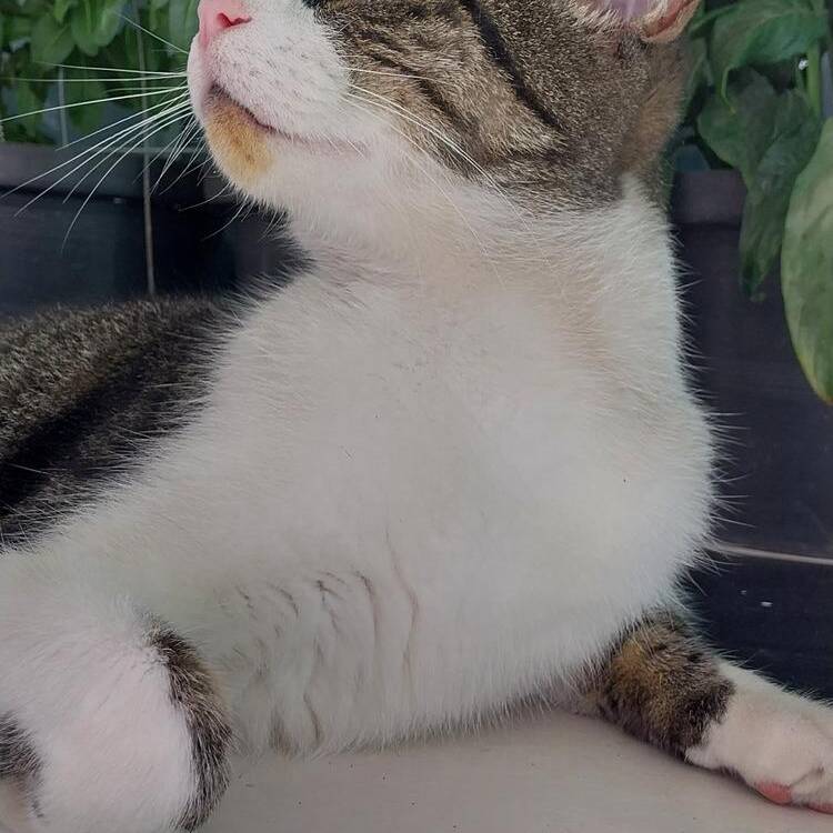 Foto de perfil de emilia