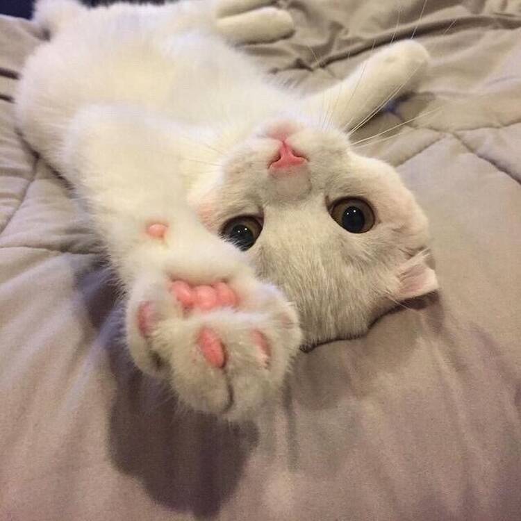 Foto de perfil de M