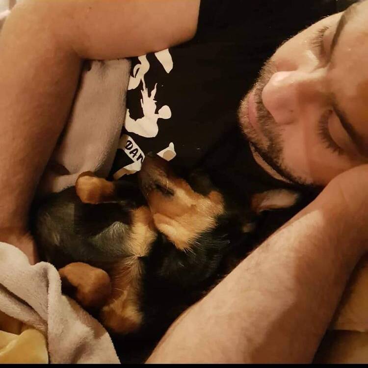 Foto de perfil de guillermo