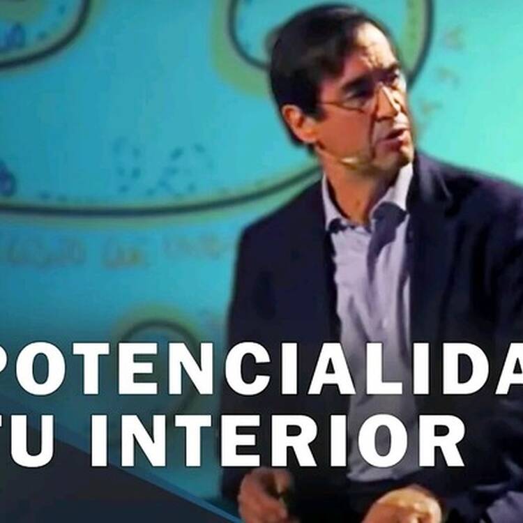 Foto de perfil de Armand