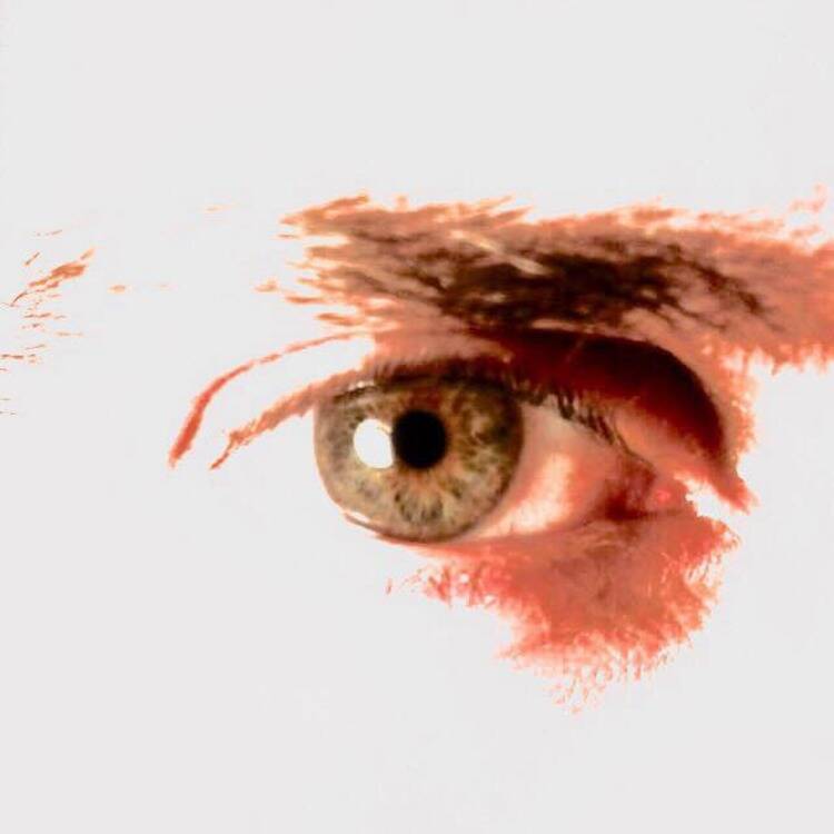 Foto de perfil de Frank