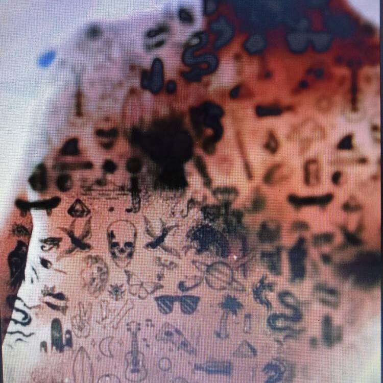 Foto de perfil de dave