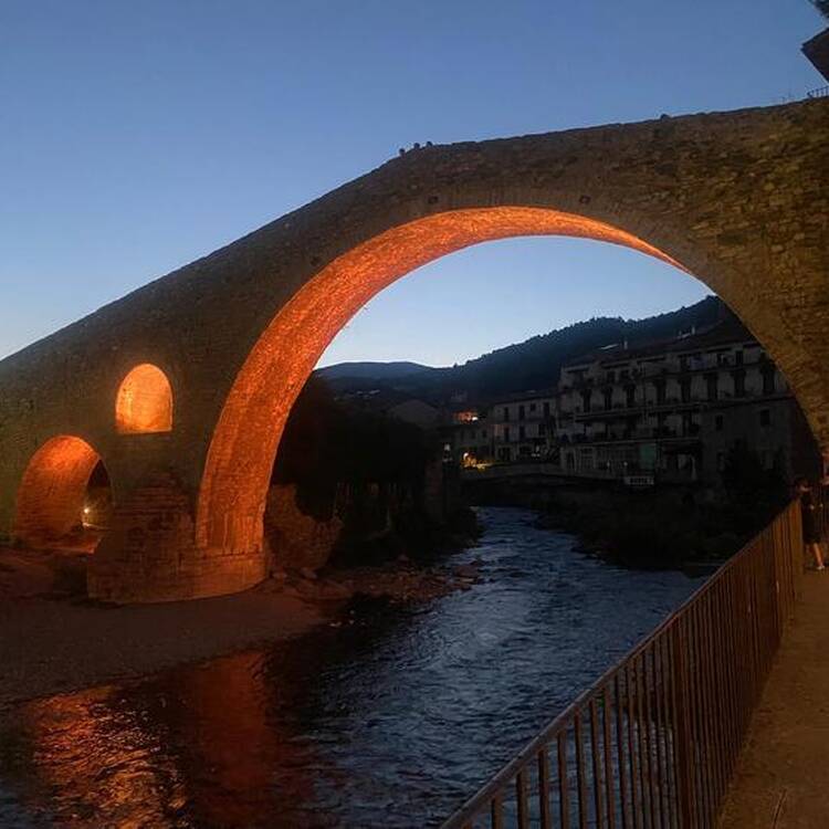 Foto de perfil de Paki