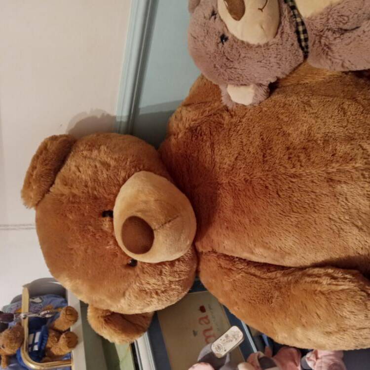 Foto de perfil de domingo
