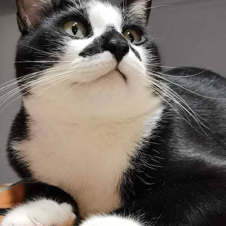 Foto de perfil de Charo