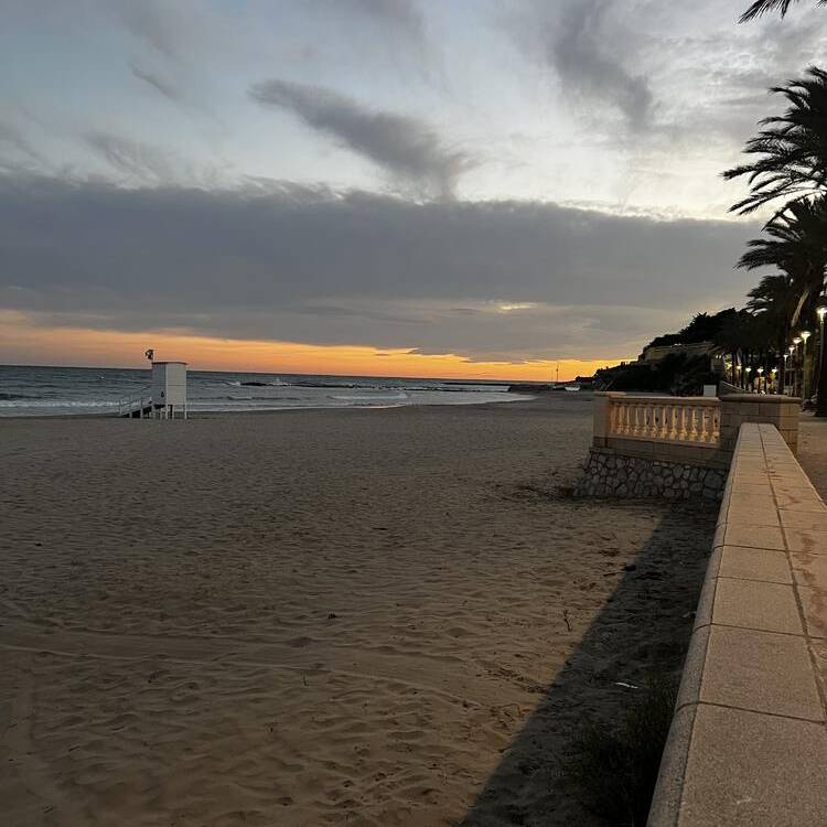 Foto de perfil de Mireia