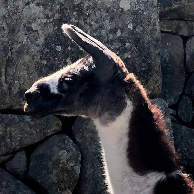 Foto de perfil de Miriam