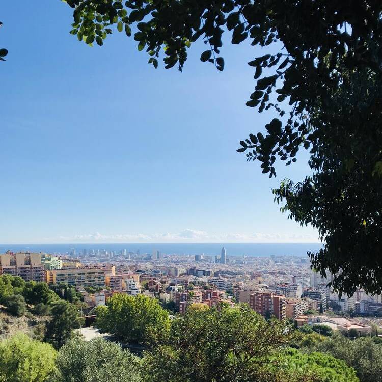 Foto de perfil de Elisa