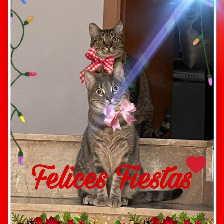 Foto de perfil de A ver
