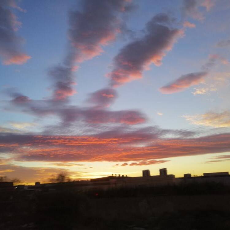 Foto de perfil de Carlota