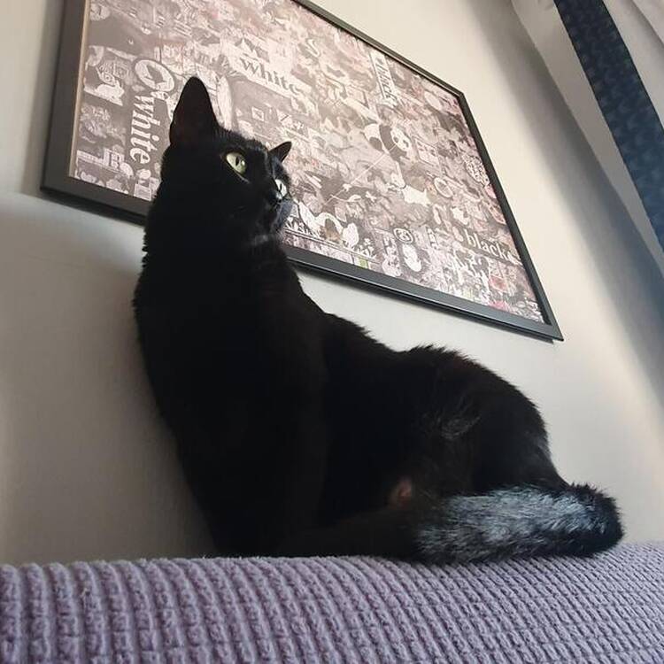 Foto de perfil de Julio