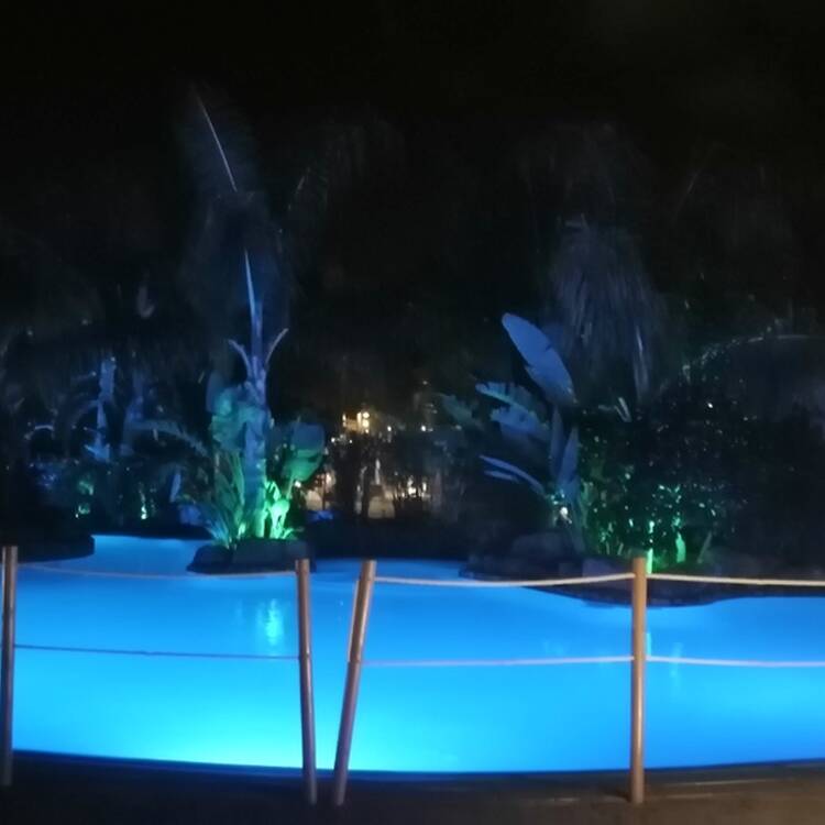 Foto de perfil de Reib