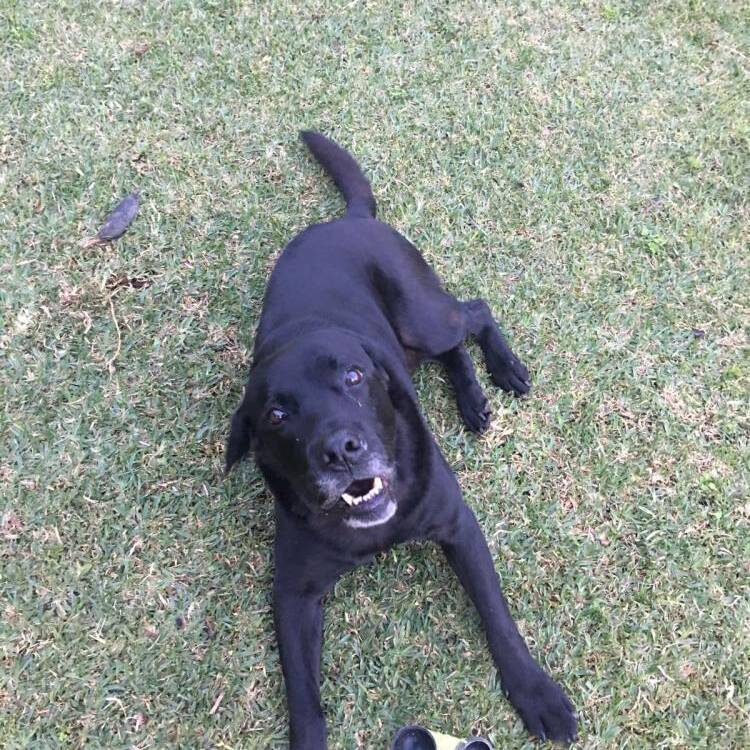 Foto de perfil de Margarita