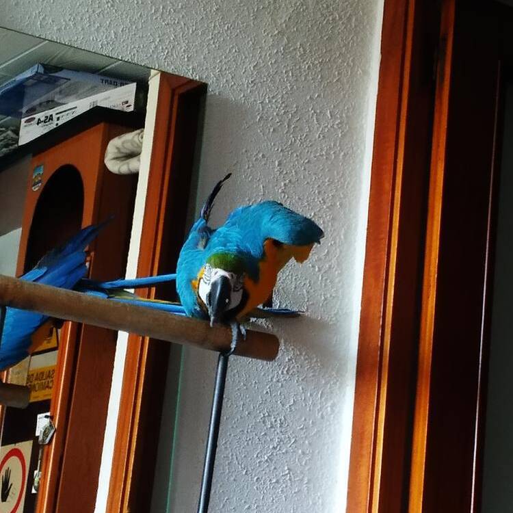 Foto de perfil de Alejandro