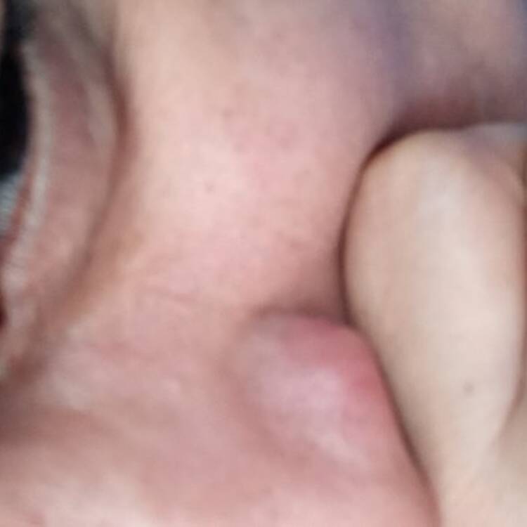 Foto de perfil de Renato