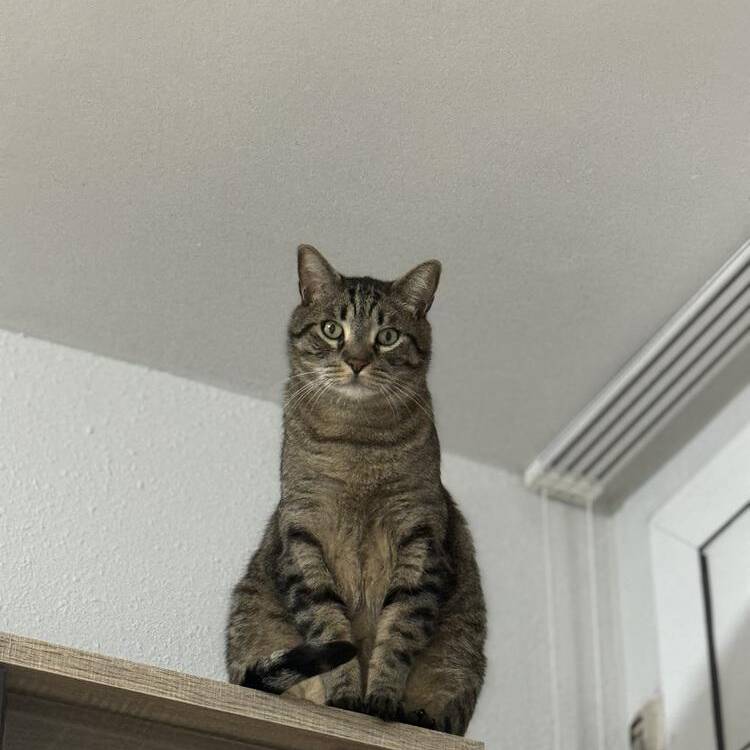 Foto de perfil de Moha