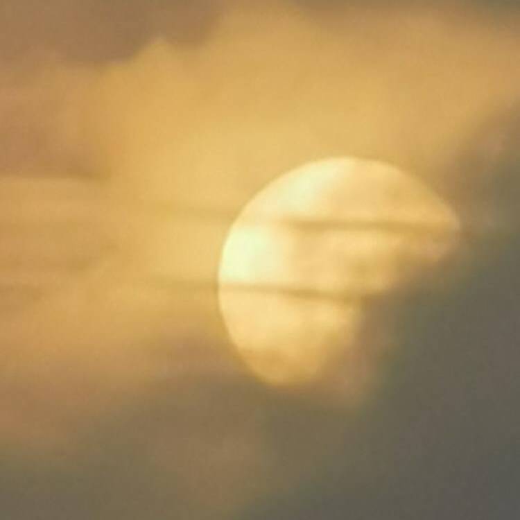 Foto de perfil de Jose