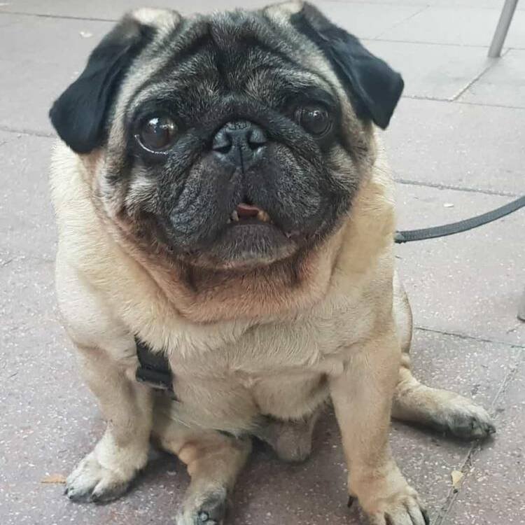 Foto de perfil