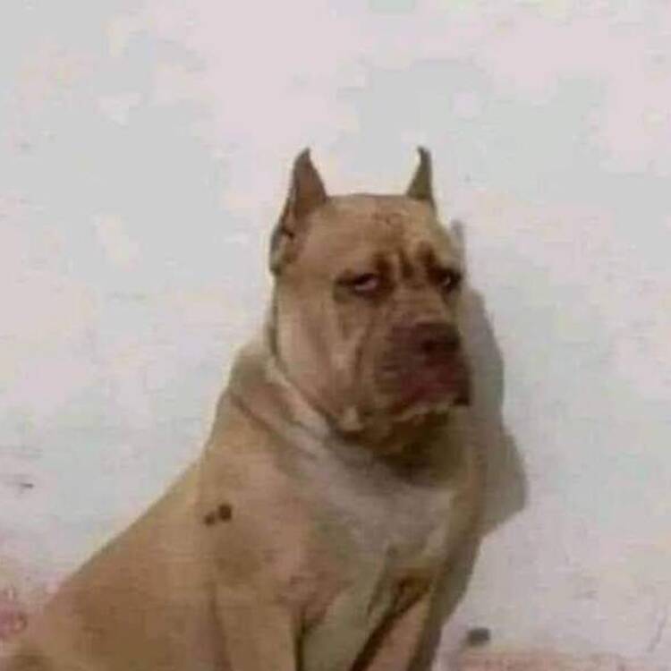 Foto de perfil de Manu