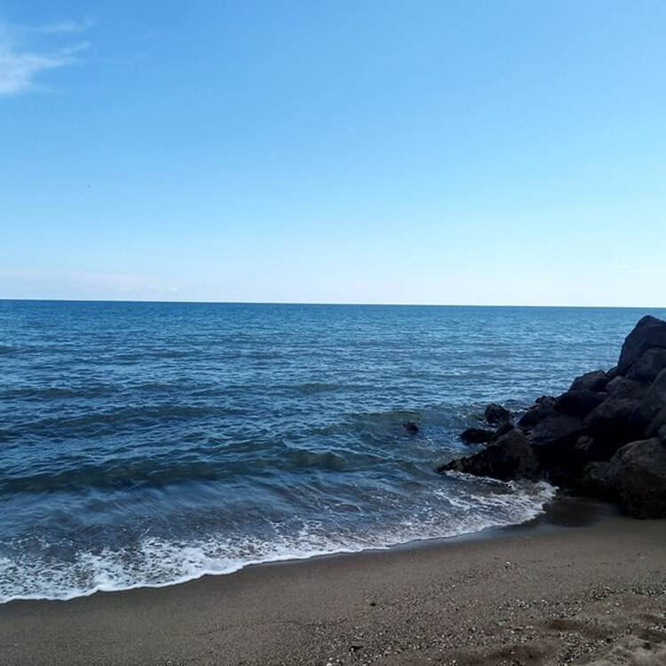 Foto de perfil de Montse