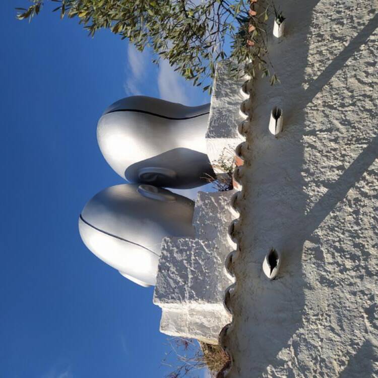 Foto de perfil de David